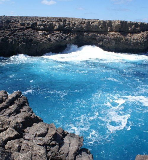 9f35b1df40b1b7c454fa93aa112a5010